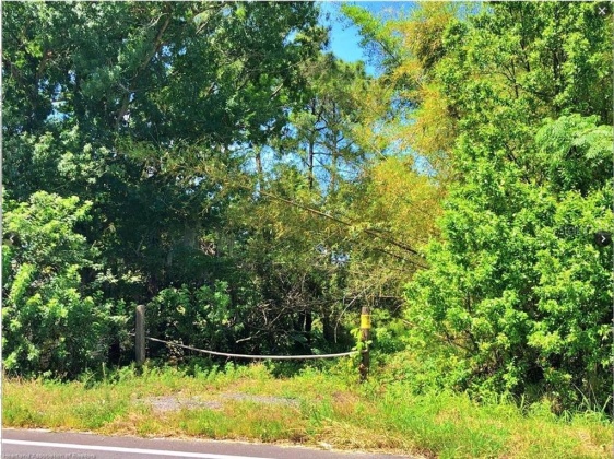 1208 PIERCE STREET, LAKE ALFRED, Florida 33850, ,Land,For Sale,PIERCE,L4925285