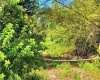 1208 PIERCE STREET, LAKE ALFRED, Florida 33850, ,Land,For Sale,PIERCE,L4925285