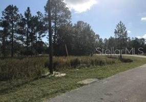 1705 SEABASS LANE, POINCIANA, Florida 34759, ,Land,For Sale,SEABASS,S5060646