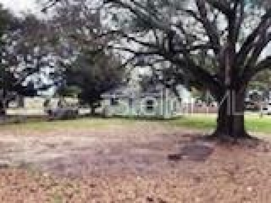 704 LIME AVENUE, DUNDEE, Florida 33838, 2 Bedrooms Bedrooms, ,1 BathroomBathrooms,Residential,For Sale,LIME AVENUE,O5997455