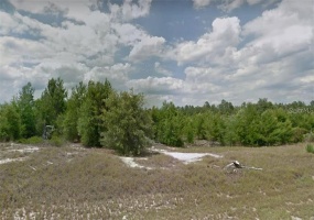 1344 HOMOSASSA DRIVE, POINCIANA, Florida 34759, ,Land,For Sale,HOMOSASSA,S5061601