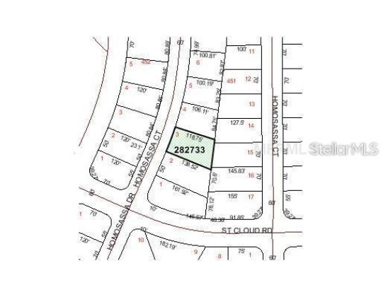 1344 HOMOSASSA DRIVE, POINCIANA, Florida 34759, ,Land,For Sale,HOMOSASSA,S5061601