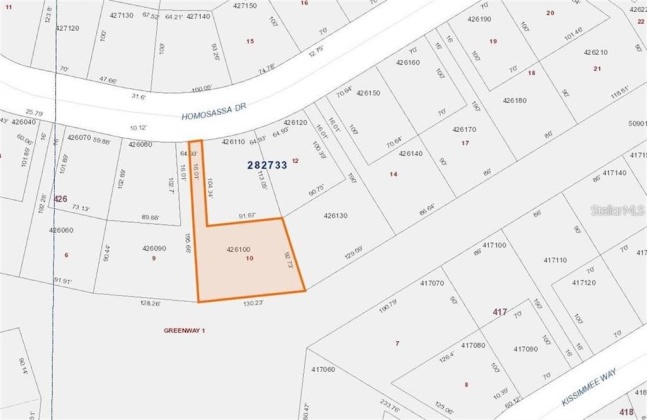1344 HOMOSASSA DRIVE, POINCIANA, Florida 34759, ,Land,For Sale,HOMOSASSA,S5061601
