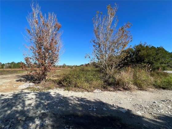 11800 BACKLAND PATH ROAD, POLK CITY, Florida 33868, ,Land,For Sale,BACKLAND PATH,L4927484