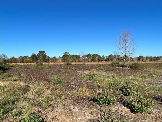 11800 BACKLAND PATH ROAD, POLK CITY, Florida 33868, ,Land,For Sale,BACKLAND PATH,L4927484