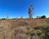 11800 BACKLAND PATH ROAD, POLK CITY, Florida 33868, ,Land,For Sale,BACKLAND PATH,L4927484