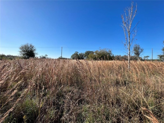 11800 BACKLAND PATH ROAD, POLK CITY, Florida 33868, ,Land,For Sale,BACKLAND PATH,L4927484