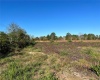 11800 BACKLAND PATH ROAD, POLK CITY, Florida 33868, ,Land,For Sale,BACKLAND PATH,L4927484