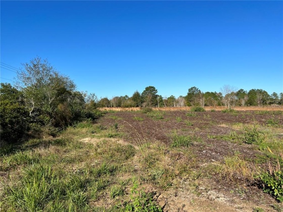 11800 BACKLAND PATH ROAD, POLK CITY, Florida 33868, ,Land,For Sale,BACKLAND PATH,L4927484