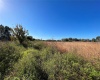 11800 BACKLAND PATH ROAD, POLK CITY, Florida 33868, ,Land,For Sale,BACKLAND PATH,L4927484