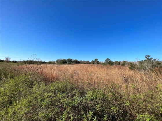 11800 BACKLAND PATH ROAD, POLK CITY, Florida 33868, ,Land,For Sale,BACKLAND PATH,L4927484