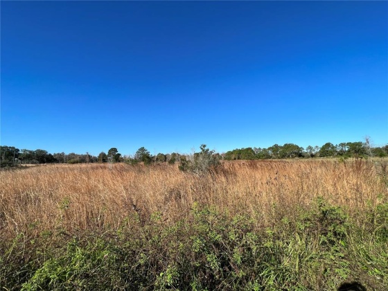 11800 BACKLAND PATH ROAD, POLK CITY, Florida 33868, ,Land,For Sale,BACKLAND PATH,L4927484