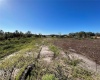 11800 BACKLAND PATH ROAD, POLK CITY, Florida 33868, ,Land,For Sale,BACKLAND PATH,L4927484