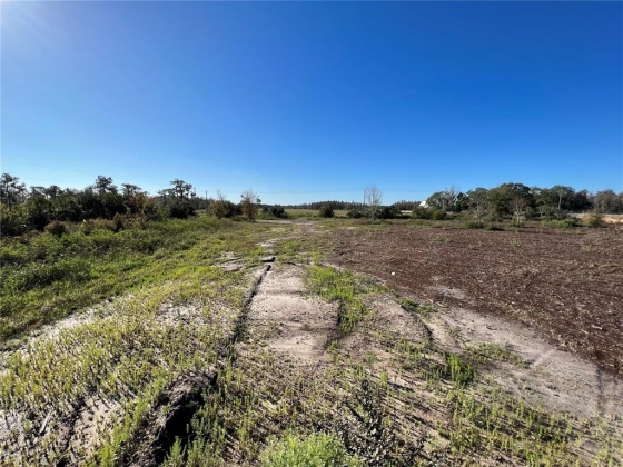11800 BACKLAND PATH ROAD, POLK CITY, Florida 33868, ,Land,For Sale,BACKLAND PATH,L4927484
