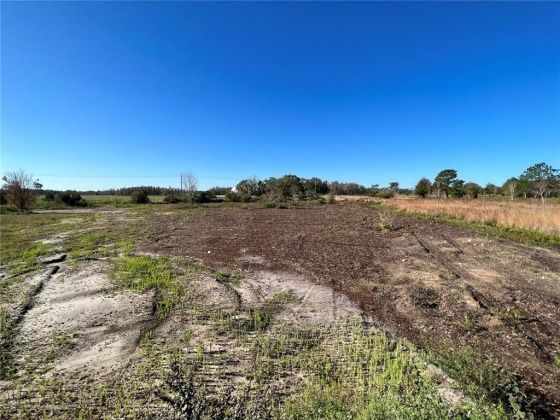 11800 BACKLAND PATH ROAD, POLK CITY, Florida 33868, ,Land,For Sale,BACKLAND PATH,L4927484