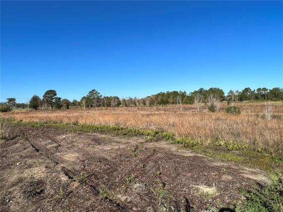 11800 BACKLAND PATH ROAD, POLK CITY, Florida 33868, ,Land,For Sale,BACKLAND PATH,L4927484