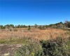 11800 BACKLAND PATH ROAD, POLK CITY, Florida 33868, ,Land,For Sale,BACKLAND PATH,L4927484