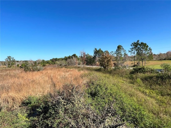 11800 BACKLAND PATH ROAD, POLK CITY, Florida 33868, ,Land,For Sale,BACKLAND PATH,L4927484