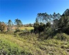 11800 BACKLAND PATH ROAD, POLK CITY, Florida 33868, ,Land,For Sale,BACKLAND PATH,L4927484