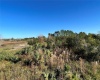 11800 BACKLAND PATH ROAD, POLK CITY, Florida 33868, ,Land,For Sale,BACKLAND PATH,L4927484
