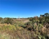 11800 BACKLAND PATH ROAD, POLK CITY, Florida 33868, ,Land,For Sale,BACKLAND PATH,L4927484