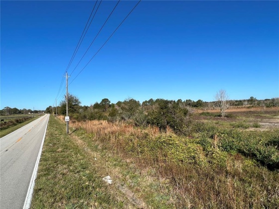 11800 BACKLAND PATH ROAD, POLK CITY, Florida 33868, ,Land,For Sale,BACKLAND PATH,L4927484