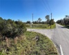 11800 BACKLAND PATH ROAD, POLK CITY, Florida 33868, ,Land,For Sale,BACKLAND PATH,L4927484