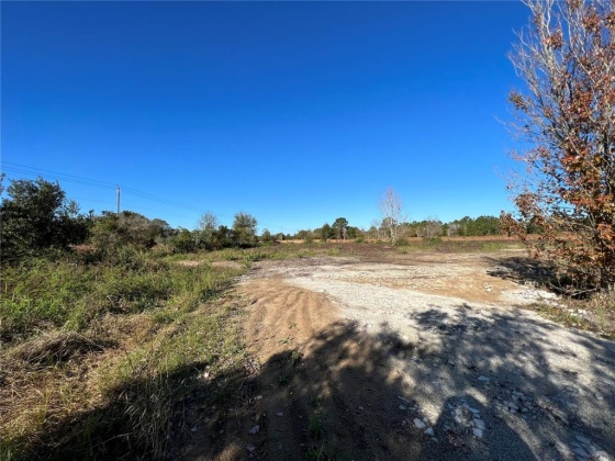 11800 BACKLAND PATH ROAD, POLK CITY, Florida 33868, ,Land,For Sale,BACKLAND PATH,L4927484