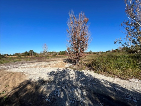 11800 BACKLAND PATH ROAD, POLK CITY, Florida 33868, ,Land,For Sale,BACKLAND PATH,L4927484