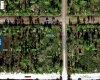0 MINEOLA DRIVE, LAKE WALES, Florida 33898, ,Land,For Sale,MINEOLA,K4901622
