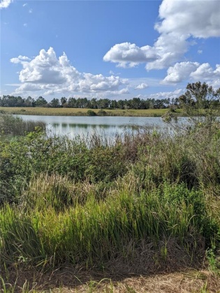10249 HWY 555, FORT MEADE, Florida 33841, ,Land,For Sale,HWY 555,T3350736
