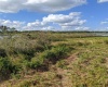 10249 HWY 555, FORT MEADE, Florida 33841, ,Land,For Sale,HWY 555,T3350736