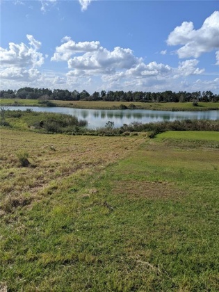 10249 HWY 555, FORT MEADE, Florida 33841, ,Land,For Sale,HWY 555,T3350736