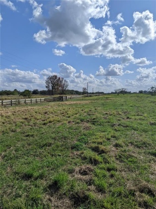 10249 HWY 555, FORT MEADE, Florida 33841, ,Land,For Sale,HWY 555,T3350736
