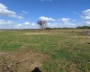 10249 HWY 555, FORT MEADE, Florida 33841, ,Land,For Sale,HWY 555,T3350736