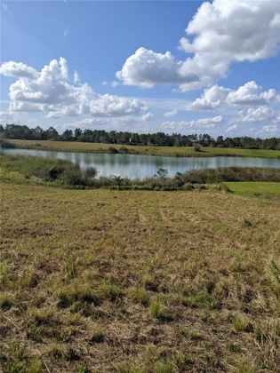 10249 HWY 555, FORT MEADE, Florida 33841, ,Land,For Sale,HWY 555,T3350736