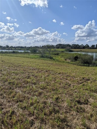 10249 HWY 555, FORT MEADE, Florida 33841, ,Land,For Sale,HWY 555,T3350736