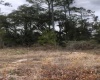 1329 SAINT AUGUSTINE COURT, POINCIANA, Florida 34759, ,Land,For Sale,SAINT AUGUSTINE,S5061619