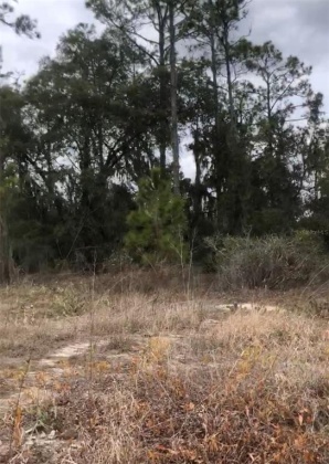 1329 SAINT AUGUSTINE COURT, POINCIANA, Florida 34759, ,Land,For Sale,SAINT AUGUSTINE,S5061619