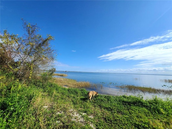 LIGHTER KNOT DRIVE, LAKE WALES, Florida 33898, ,Land,For Sale,LIGHTER KNOT,T3351232