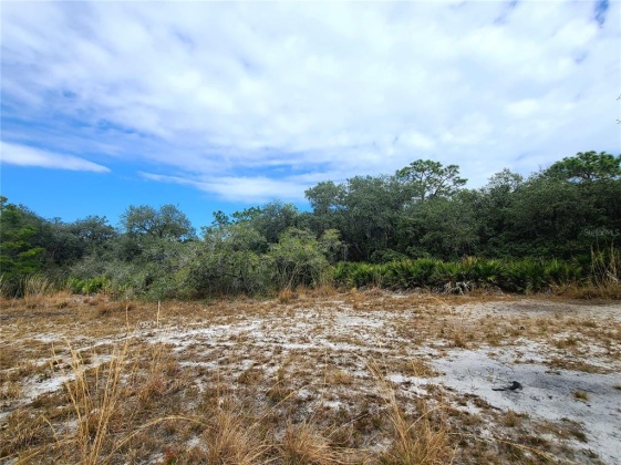 LIGHTER KNOT DRIVE, LAKE WALES, Florida 33898, ,Land,For Sale,LIGHTER KNOT,T3351232