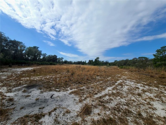 LIGHTER KNOT DRIVE, LAKE WALES, Florida 33898, ,Land,For Sale,LIGHTER KNOT,T3351232
