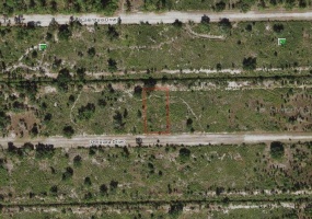 1108 PORTULACA DRIVE, INDIAN LAKE ESTATES, Florida 33855, ,Land,For Sale,PORTULACA,S5061803