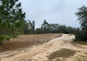 PHILLIPS ROAD, LAKE WALES, Florida 33898, ,Land,For Sale,PHILLIPS,P4919094