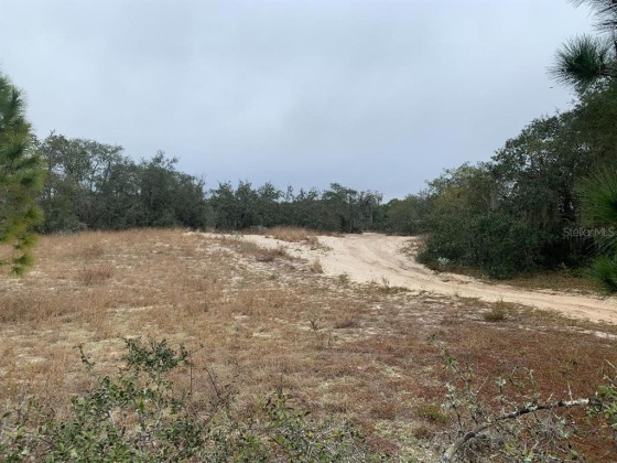 PHILLIPS ROAD, LAKE WALES, Florida 33898, ,Land,For Sale,PHILLIPS,P4919094
