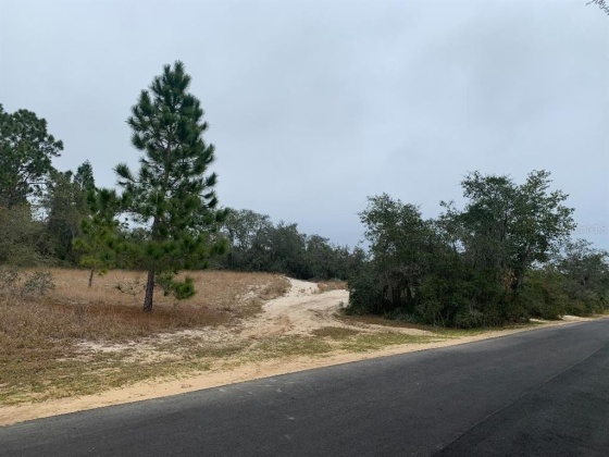 PHILLIPS ROAD, LAKE WALES, Florida 33898, ,Land,For Sale,PHILLIPS,P4919094