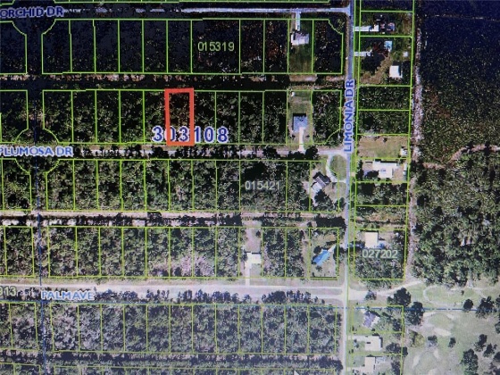 214 PLUMOSA DRIVE, INDIAN LAKE ESTATES, Florida 33855, ,Land,For Sale,PLUMOSA,T3352007