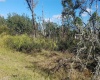 1638 PICKEREL COURT, POINCIANA, Florida 34759, ,Land,For Sale,PICKEREL,S5061869