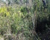 1638 PICKEREL COURT, POINCIANA, Florida 34759, ,Land,For Sale,PICKEREL,S5061869