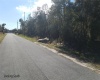 1638 PICKEREL COURT, POINCIANA, Florida 34759, ,Land,For Sale,PICKEREL,S5061869